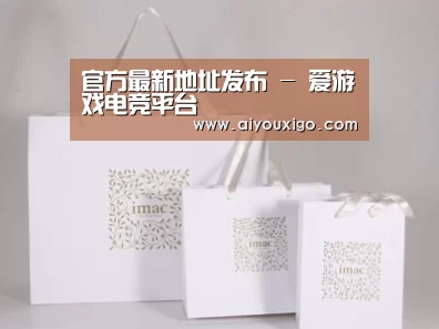 项目名称十一