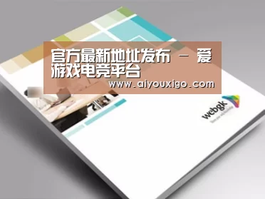 项目名称九