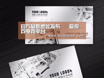 项目名称五