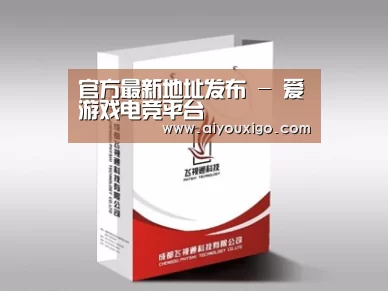 项目名称十三