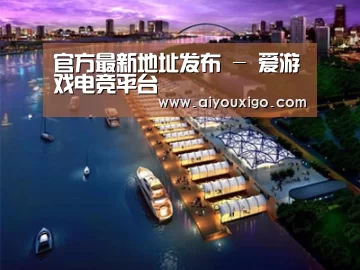 案例展示八