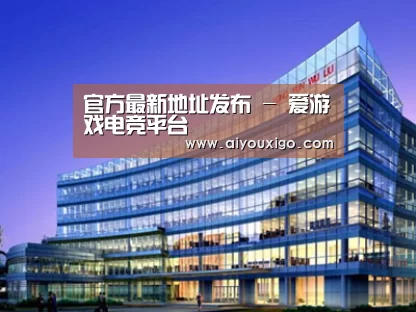 案例展示五