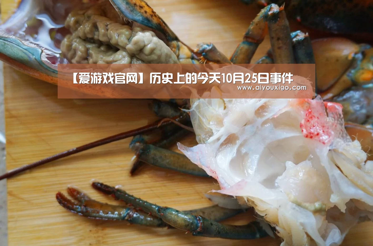爱游戏视讯