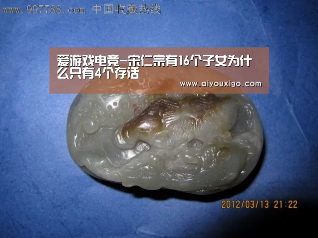 爱游戏电竞-宋仁宗有16个子女为什么只有4个存活(图1) 爱游戏官网
